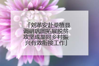 刘革安赴桑植县调研巩固拓展脱贫攻坚成果同乡村振兴有效衔接工作