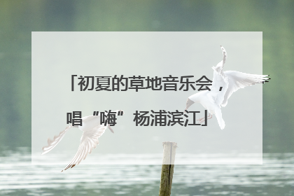 初夏的草地音乐会，唱“嗨”杨浦滨江