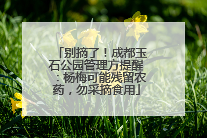 别摘了！成都玉石公园管理方提醒：杨梅可能残留农药，勿采摘食用