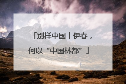 别样中国丨伊春，何以“中国林都”