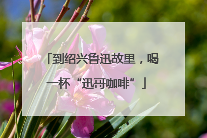 到绍兴鲁迅故里，喝一杯“迅哥咖啡”
