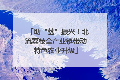 助“荔”振兴！北流荔枝全产业链带动特色农业升级