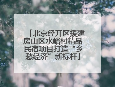 北京经开区援建房山区水峪村精品民宿项目打造“乡愁经济”新标杆