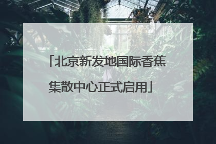 北京新发地国际香蕉集散中心正式启用