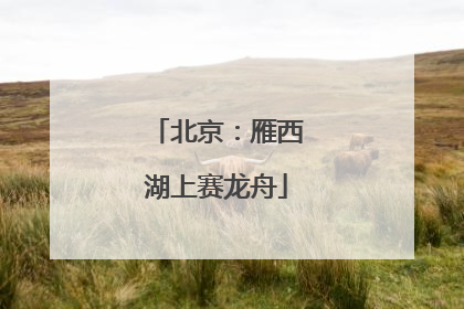 北京：雁西湖上赛龙舟