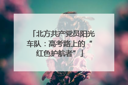 北方共产党员阳光车队：高考路上的“红色护航者”