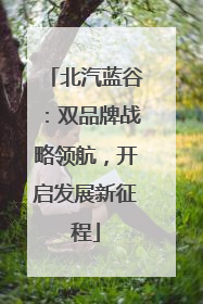 北汽蓝谷：双品牌战略领航，开启发展新征程