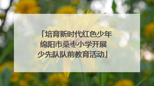 培育新时代红色少年 绵阳市桑枣小学开展少先队队前教育活动
