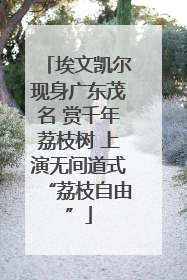 埃文凯尔现身广东茂名 赏千年荔枝树 上演无间道式“荔枝自由”