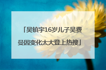 吴镇宇16岁儿子吴费曼因变化太大登上热搜