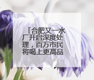 合肥又一水厂开启深度处理，百万市民将喝上更高品质水
