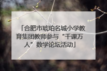 合肥市琥珀名城小学教育集团教师参与“千课万人”数学论坛活动