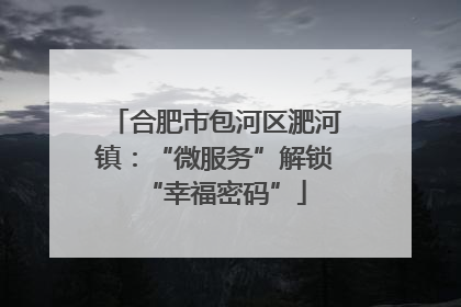 合肥市包河区淝河镇：“微服务”解锁“幸福密码”