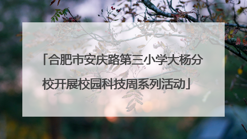 合肥市安庆路第三小学大杨分校开展校园科技周系列活动