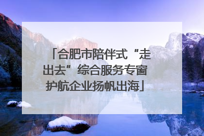 合肥市陪伴式“走出去”综合服务专窗护航企业扬帆出海