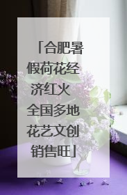 合肥暑假荷花经济红火 全国多地花艺文创销售旺