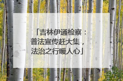 吉林伊通检察：普法宣传赶大集，法治之行暖人心