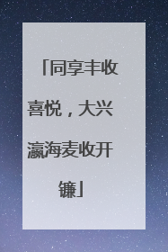 同享丰收喜悦，大兴瀛海麦收开镰