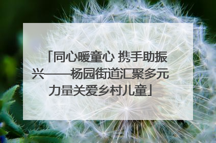 同心暖童心 携手助振兴——杨园街道汇聚多元力量关爱乡村儿童