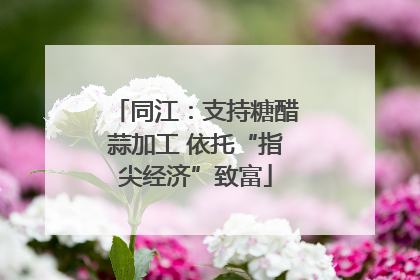 同江：支持糖醋蒜加工 依托“指尖经济”致富