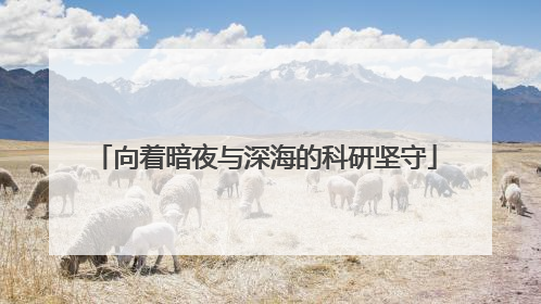 向着暗夜与深海的科研坚守