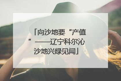 向沙地要“产值”——辽宁科尔沁沙地兴绿见闻