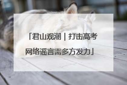 君山观潮｜打击高考网络谣言需多方发力