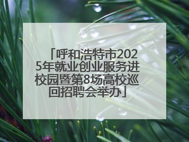 呼和浩特市2025年就业创业服务进校园暨第8场高校巡回招聘会举办