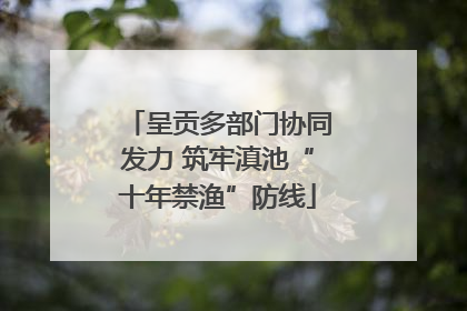 呈贡多部门协同发力 筑牢滇池“十年禁渔”防线
