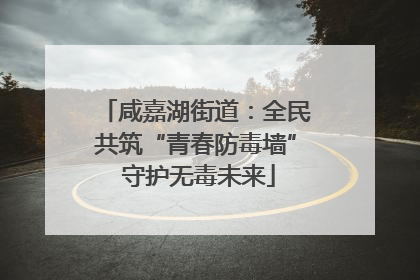 咸嘉湖街道：全民共筑“青春防毒墙” 守护无毒未来