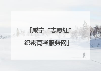 咸宁“志愿红”织密高考服务网