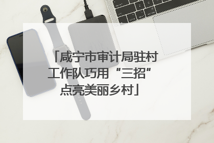 咸宁市审计局驻村工作队巧用“三招”点亮美丽乡村
