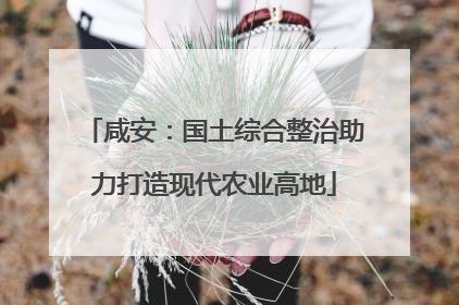 咸安：国土综合整治助力打造现代农业高地