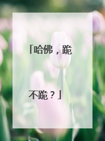 哈佛，跪不跪？