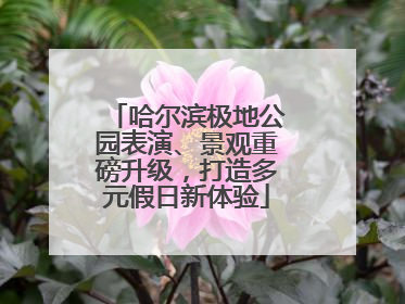 哈尔滨极地公园表演、景观重磅升级，打造多元假日新体验