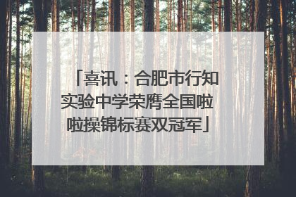 喜讯：合肥市行知实验中学荣膺全国啦啦操锦标赛双冠军