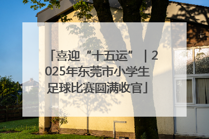 喜迎“十五运”｜2025年东莞市小学生足球比赛圆满收官