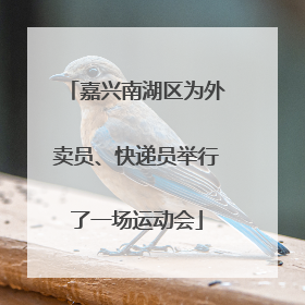 嘉兴南湖区为外卖员、快递员举行了一场运动会