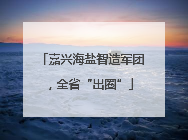 嘉兴海盐智造军团，全省“出圈”