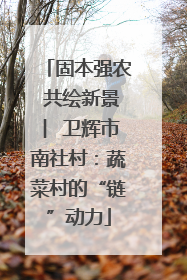 固本强农 共绘新景 ︳卫辉市南社村：蔬菜村的“链”动力