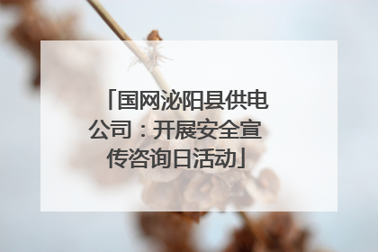 国网泌阳县供电公司：开展安全宣传咨询日活动