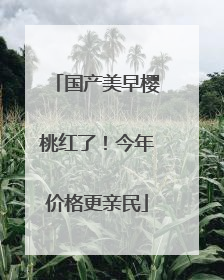 国产美早樱桃红了！今年价格更亲民