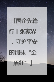 国企先锋行丨张家界：守护平安的那抹“金盾红”