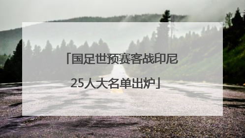 国足世预赛客战印尼25人大名单出炉
