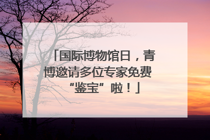 国际博物馆日，青博邀请多位专家免费“鉴宝”啦！