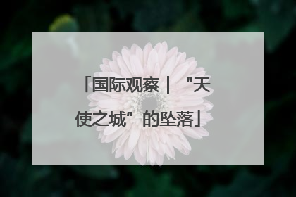 国际观察｜“天使之城”的坠落