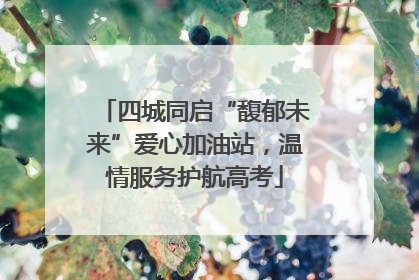 四城同启“馥郁未来”爱心加油站，温情服务护航高考