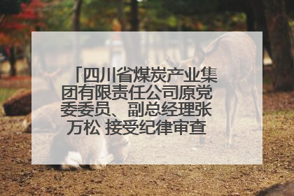 四川省煤炭产业集团有限责任公司原党委委员、副总经理张万松 接受纪律审查和监察调查