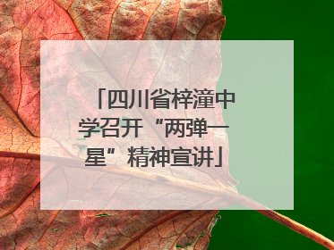 四川省梓潼中学召开“两弹一星”精神宣讲