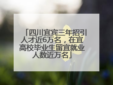 四川宜宾三年招引人才近6万名，在宜高校毕业生留宜就业人数近万名